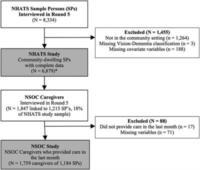 Vision difficulty and dementia: economic hardships among older adults and their caregivers